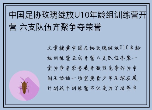 中国足协玫瑰绽放U10年龄组训练营开营 六支队伍齐聚争夺荣誉