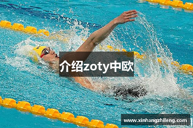 介绍zoty中欧